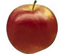 Apples at Fruit Ridge - Ida Red Apple