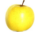 Apples at Fruit Ridge - Golden Delicious Apple