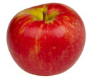 Apples at Fruit Ridge - Honey Crisp Apple