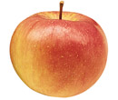 Apples at Fruit Ridge - Northern Spy Apple