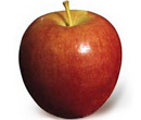 Apples at Fruit Ridge - 'Ruby Jon' Jonathan Apple