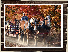 Fall Spring Wagon Rides